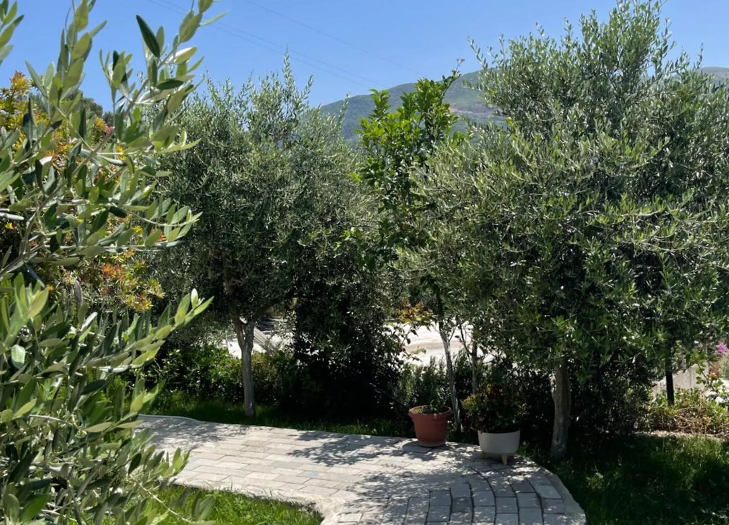 Seamare Studio & Apartaments Vlorë 0*,  Albânia